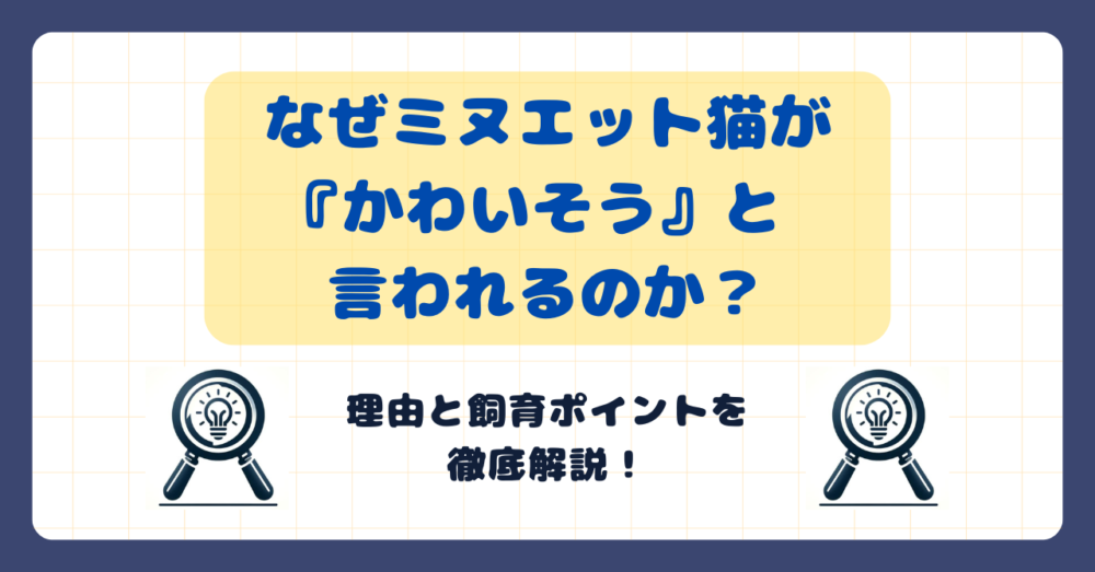 なぜミヌエット猫が『かわいそう』と言われるのか？理由と飼育ポイントを徹底解説！