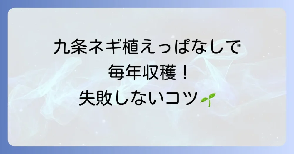 九条ネギを植えっぱなし栽培で毎年収穫！失敗しないコツと長持ちさせる方法