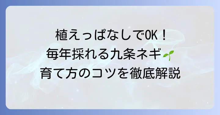 九条ネギを植えっぱなしで育てる魅力と基本的な考え方
