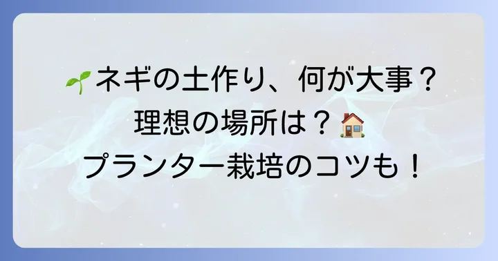 植えっぱなし九条ネギの土作りと最適な場所選び