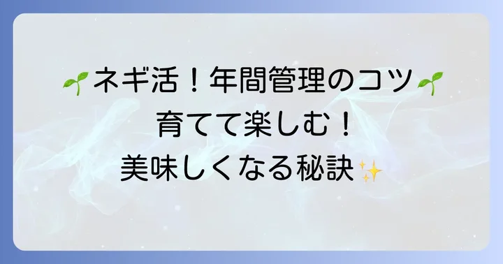 植えっぱなし九条ネギの年間管理と育て方のコツ