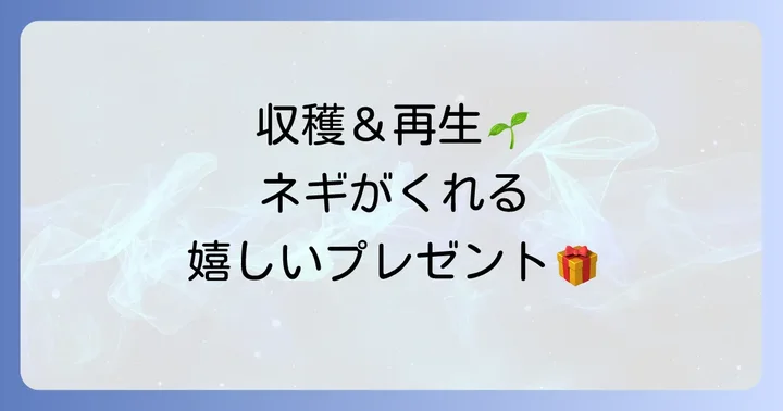 植えっぱなし九条ネギの収穫方法と再生栽培のコツ
