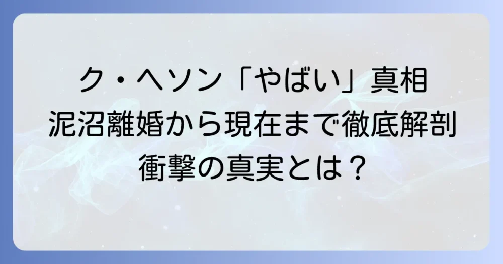 ク・ヘソンが「やばい」と囁かれる背景とは？泥沼離婚騒動から現在の活動までを徹底解説