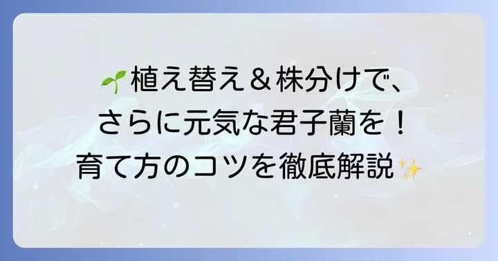 植え替えと株分けの進め方