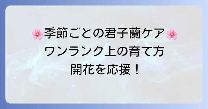 季節ごとの管理のコツ