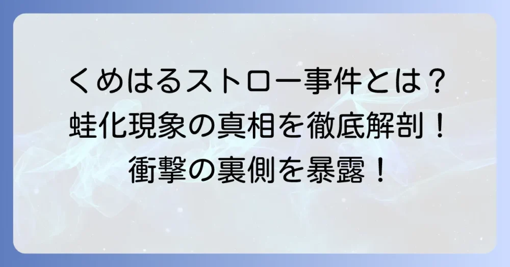くめはるストロー事件の真相を徹底解説！「今日好き」で起きた蛙化現象とSNSの反応