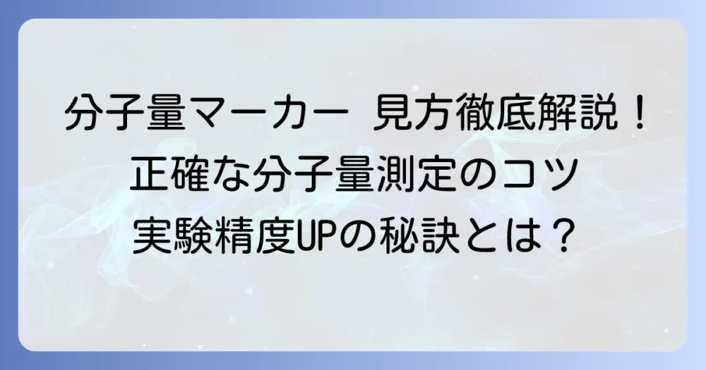 電気泳動分子量マーカーの見方：徹底解説！正確な分子量測定のコツ