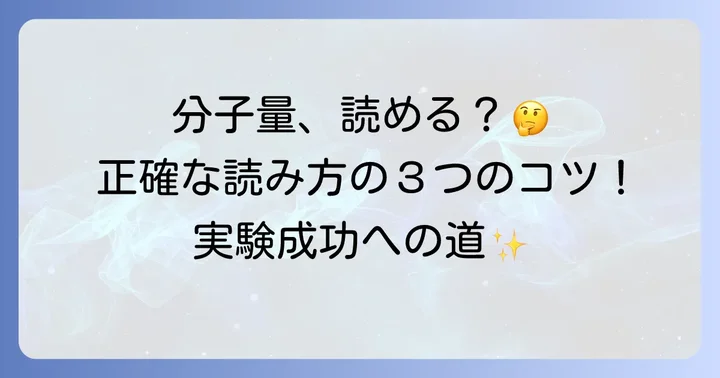 分子量マーカーの基本的な見方と読み取り方