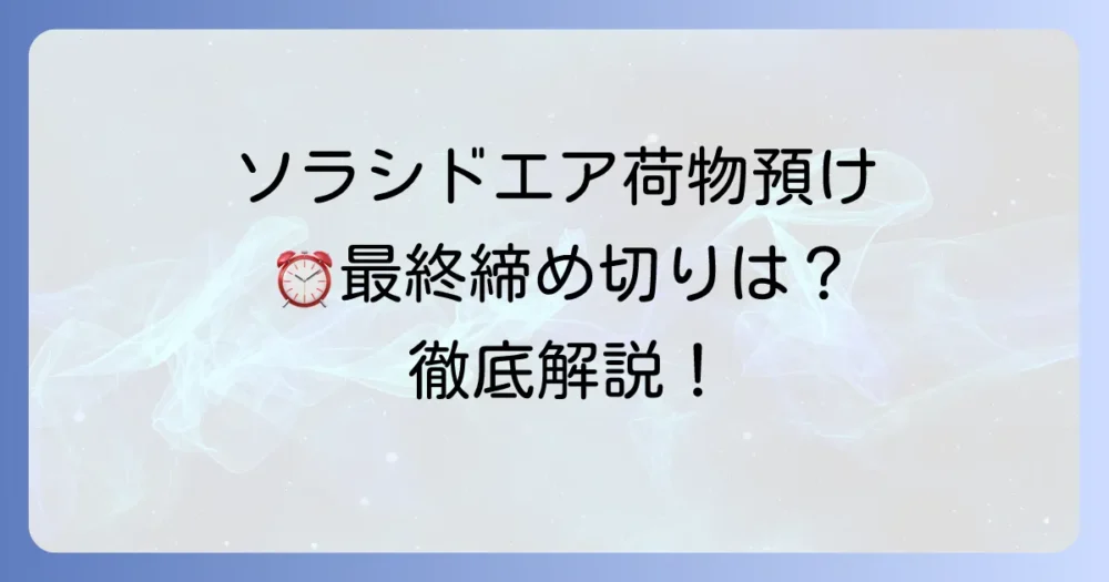 ソラシドエアの荷物預けは何時間前まで？時間とルールを徹底解説