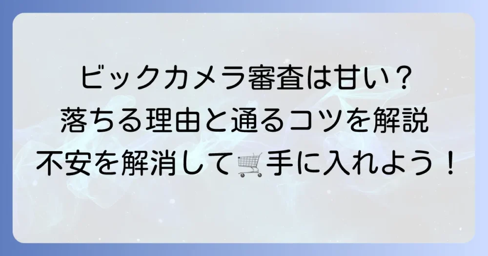 ビックカメラのローン審査は本当に厳しい？落ちる理由と通過のコツを徹底解説