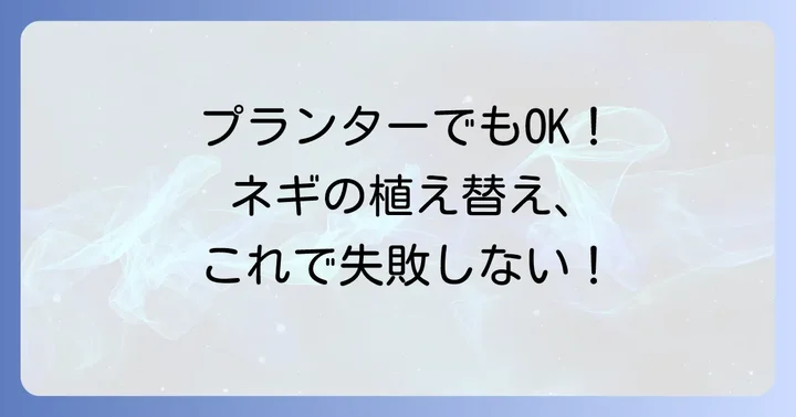 プランターで九条ネギを育てる場合の植え替え