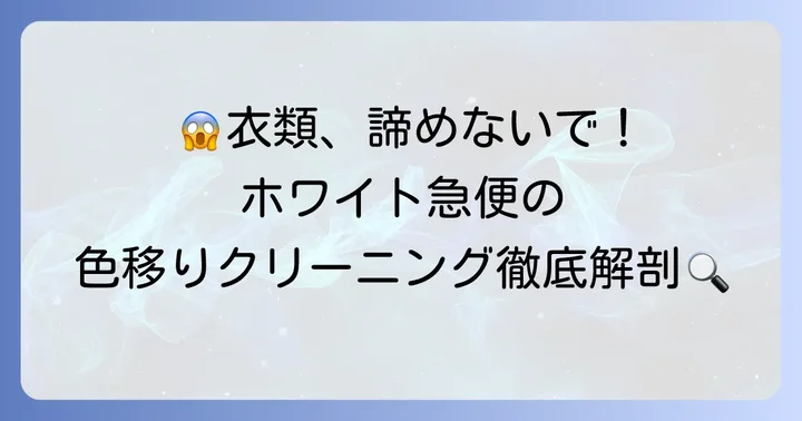 ホワイト急便の色移りクリーニングは頼れる？その実力と料金体系