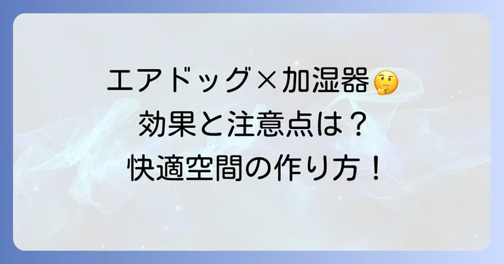 エアドッグと加湿器の併用は可能？その効果と知っておくべきこと