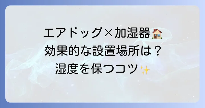 エアドッグと加湿器を最大限に活かす設置と運用のコツ