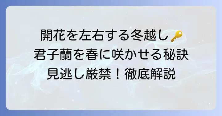 君子蘭の冬越しが春の開花を左右する大切な理由