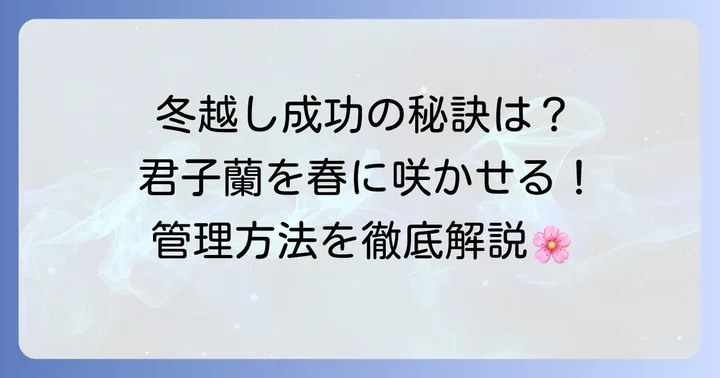 君子蘭の冬越しで失敗しないための具体的な管理方法