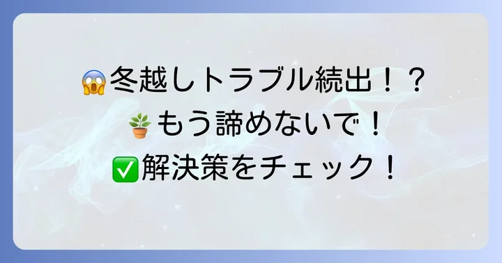君子蘭の冬越しでよくあるトラブルとその解決策
