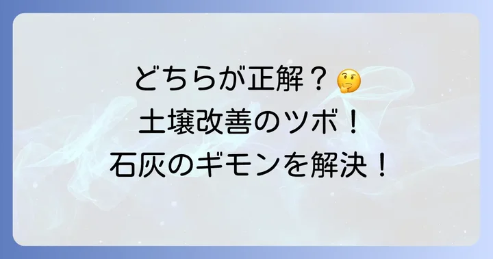 苦土石灰と石灰窒素の決定的な違いを比較