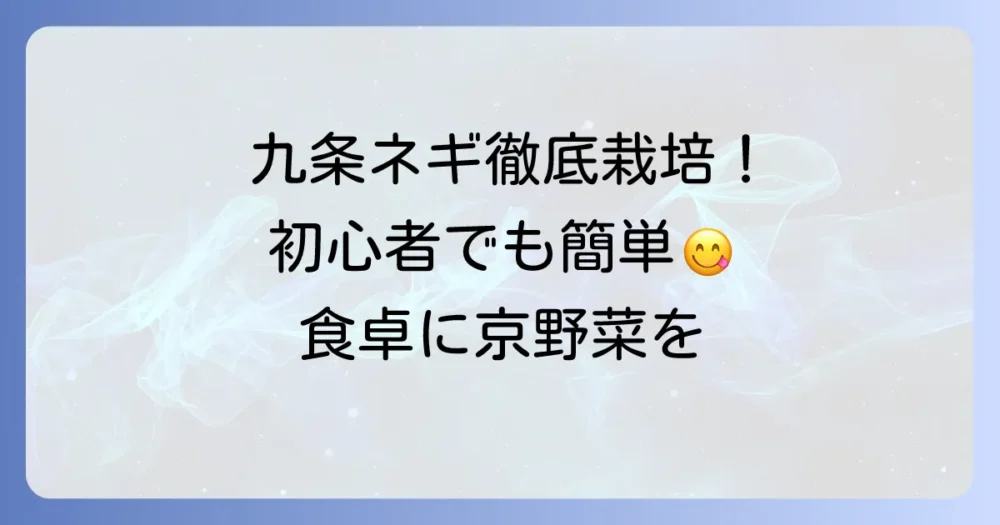 九条太ネギ苗の植え方：家庭菜園で美味しく育てるコツを徹底解説