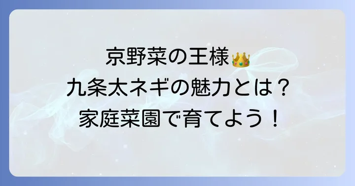 九条太ネギとは？その魅力と家庭菜園で育てる喜び
