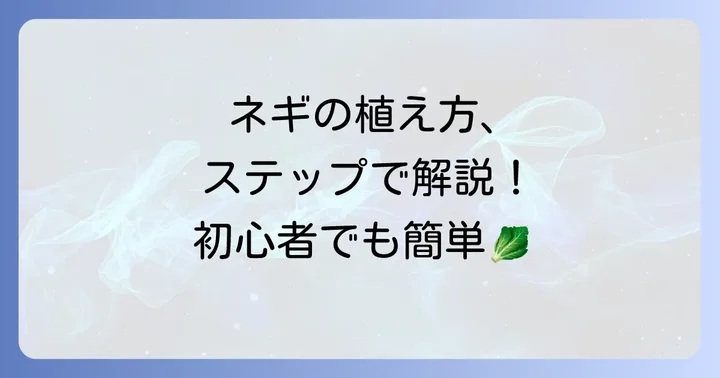九条太ネギ苗の植え方ステップバイステップ
