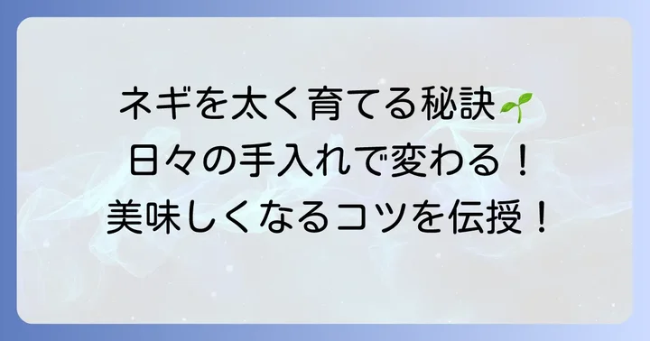 九条太ネギの栽培管理：美味しく育てるための日々の手入れ