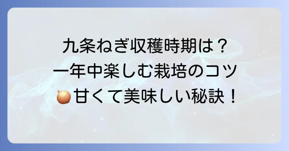 九条ねぎの収穫時期を徹底解説！一年中楽しむための栽培のコツ