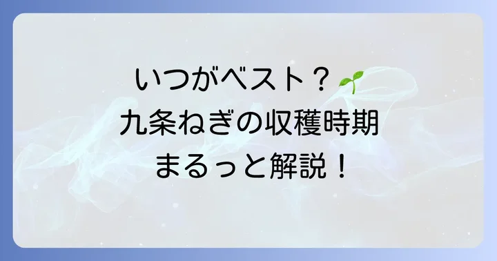 九条ねぎの収穫時期はいつ？年間を通して楽しむ方法