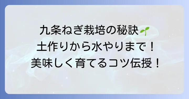 九条ねぎを美味しく育てる栽培の基本