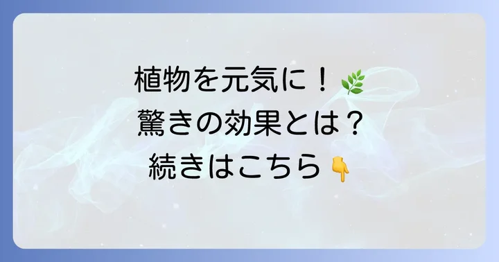 苦土石灰上澄み液の驚くべき効果とは？
