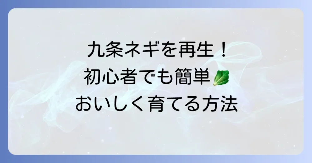 九条ネギの再生栽培を徹底解説：初心者でも簡単においしく育てる方法