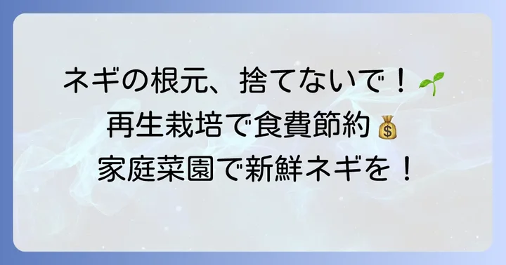 九条ネギ再生栽培の魅力とは？家庭で手軽に始めるメリット