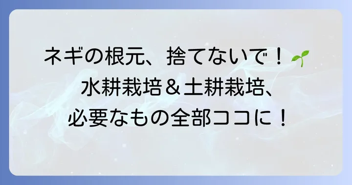九条ネギ再生栽培に必要なものと選び方