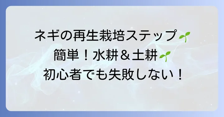 【初心者向け】九条ネギ再生栽培の具体的な進め方