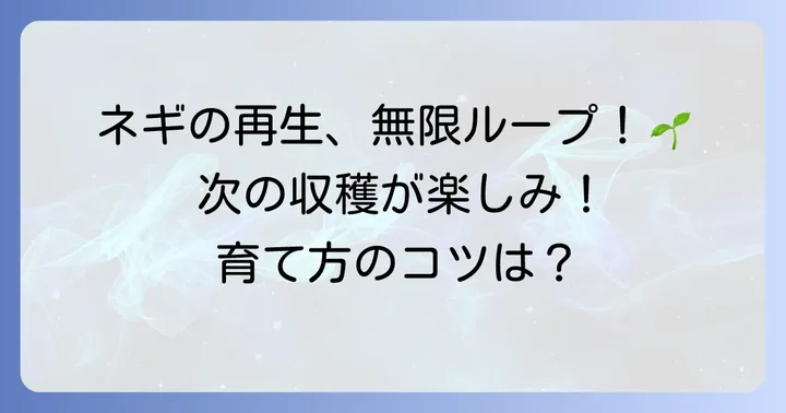 収穫から次の再生へ！九条ネギを長く楽しむ方法