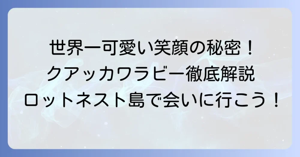 世界一可愛い動物クアッカワラビーの魅力徹底解説！笑顔の秘密と会える場所