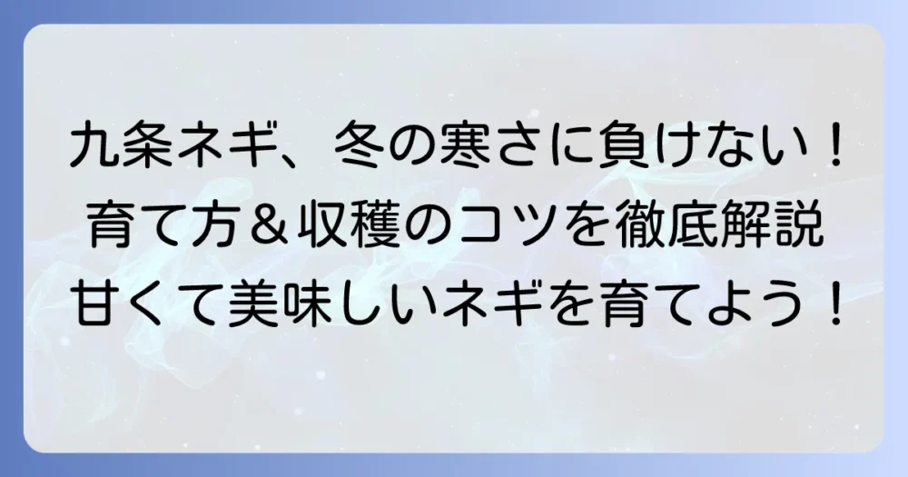 九条ネギ栽培：冬の寒さ対策と美味しい収穫方法を徹底解説
