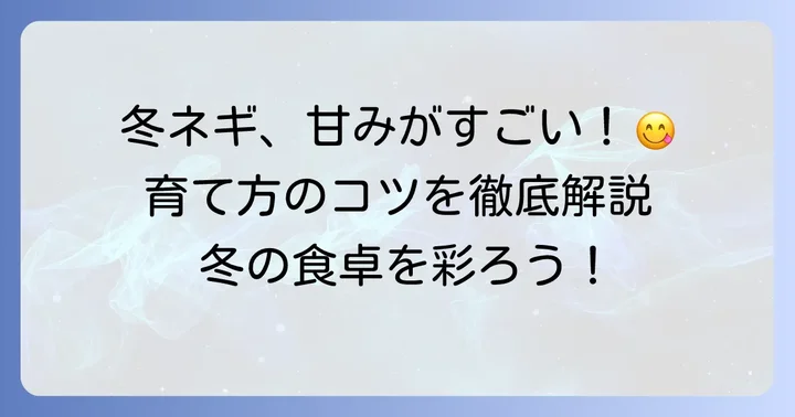 冬の九条ネギ栽培の魅力と基本