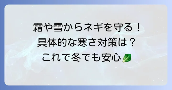 九条ネギを寒さから守る具体的な対策