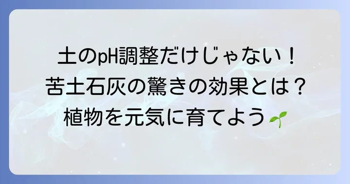 苦土石灰が土にもたらす効果を徹底解説