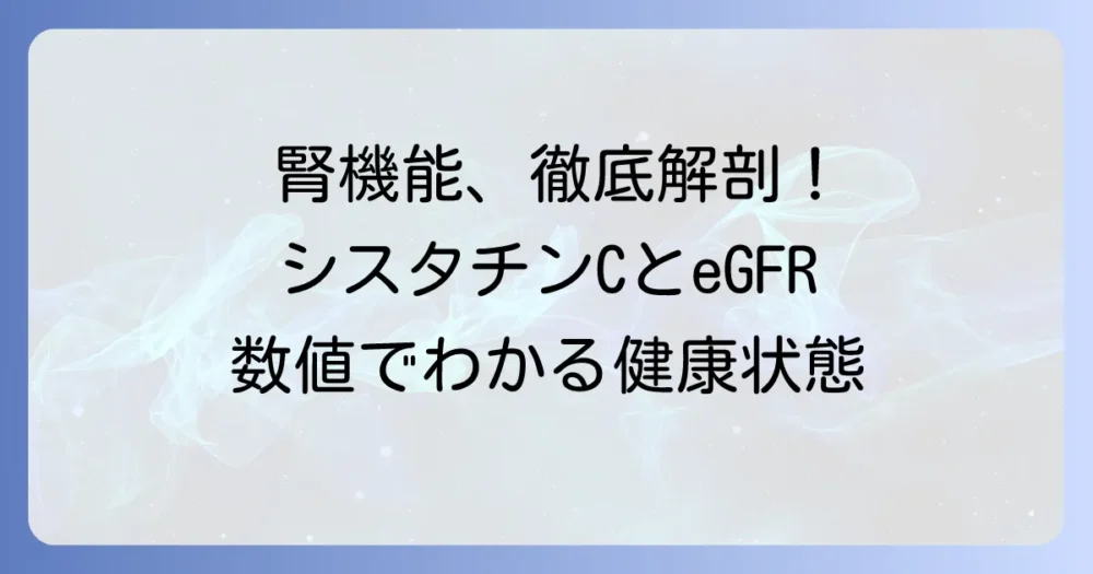 シスタチンCとeGFR基準値でわかる腎機能の全てを徹底解説