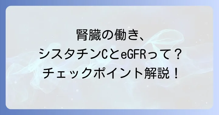 eGFR(推算糸球体濾過量)の基本とシスタチンCとの関係