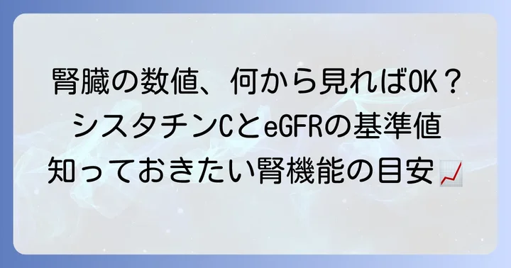 シスタチンCとeGFRの基準値を知る