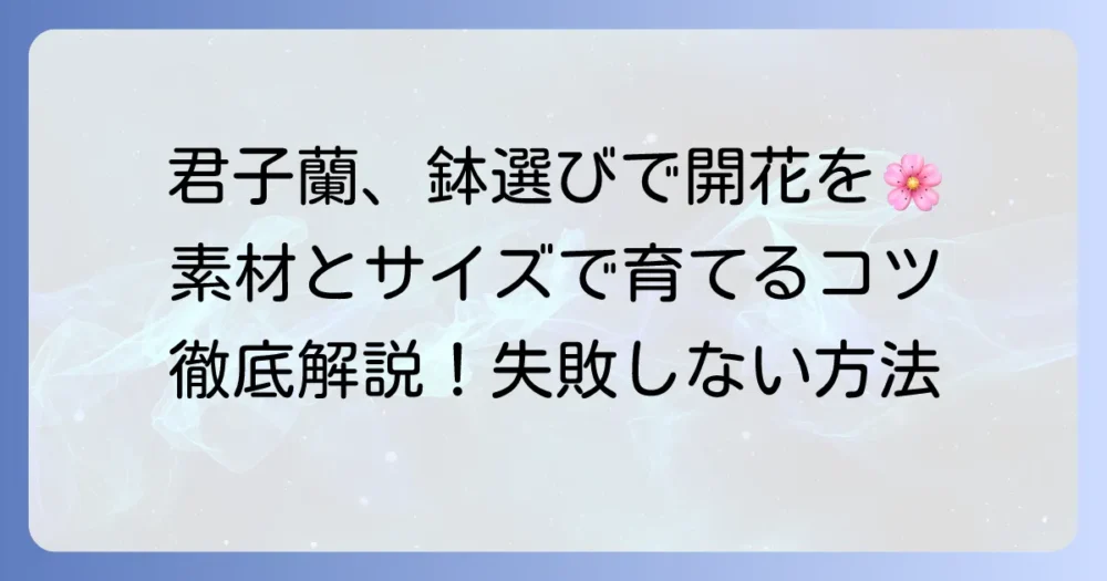君子蘭の鉢の選び方で花を咲かせる！素材とサイズで決まる育成のコツを徹底解説
