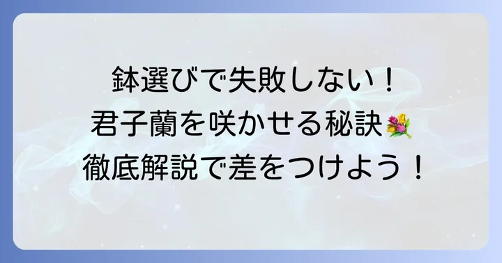 君子蘭の鉢選びが大切な理由