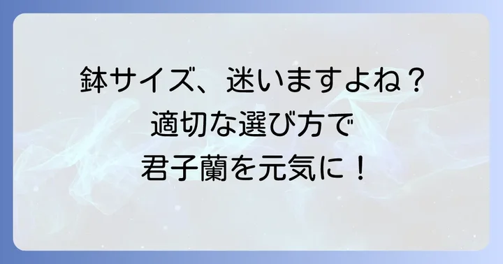君子蘭の鉢の選び方：適切なサイズの決め方