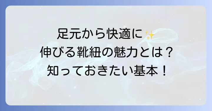 伸びる靴紐で足元を快適に！その魅力と基本的な使い方