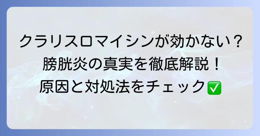 クラリスロマイシンが膀胱炎に効かないと感じたら？ その原因と対処法を徹底解説