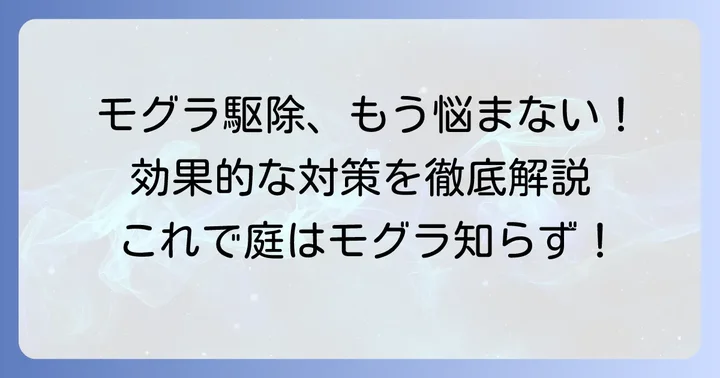 モグラかたまりをなくす！効果的な対策と駆除の方法