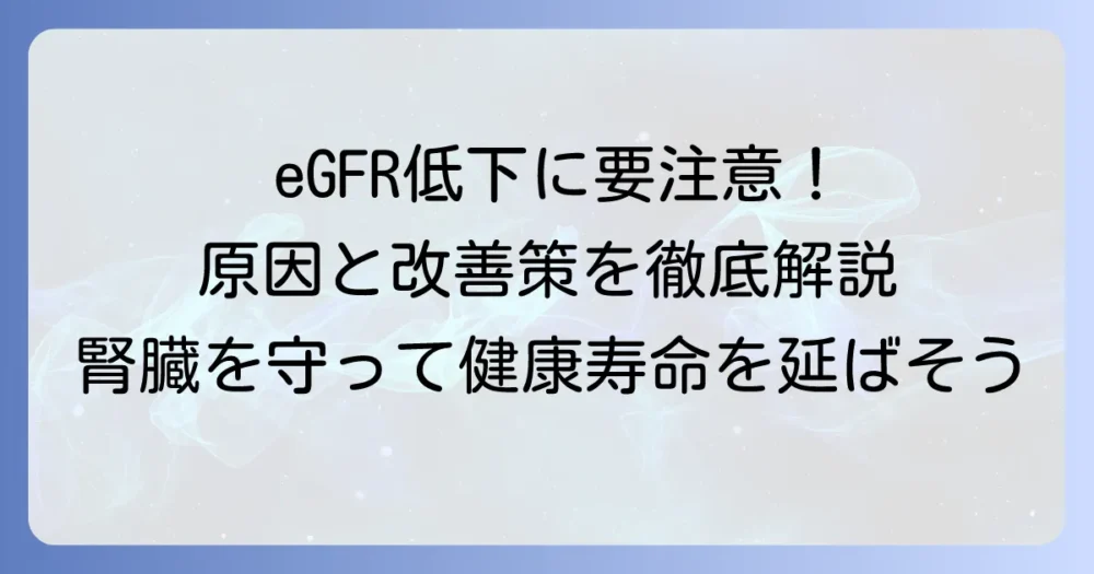 推算GFR（eGFR）が低いと言われたら？原因と改善策を徹底解説